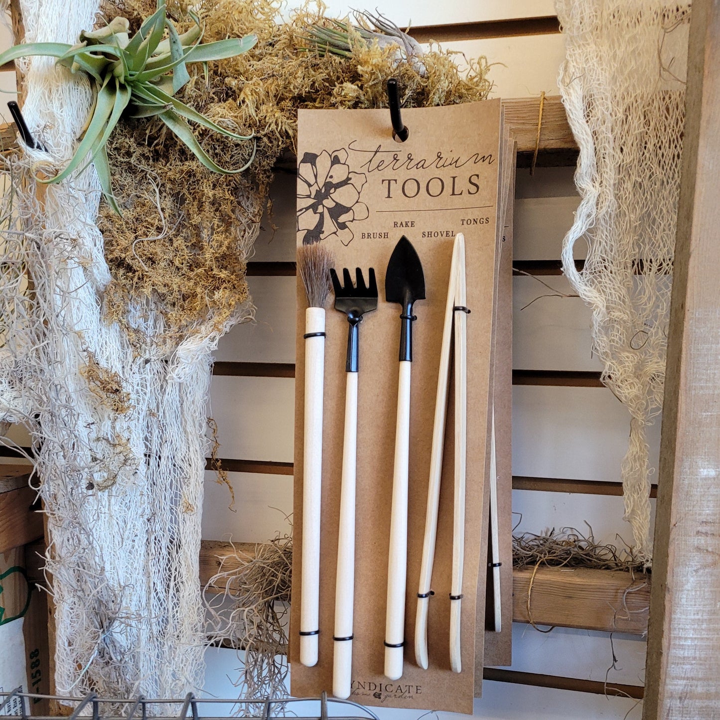 Terrarium Tool Set