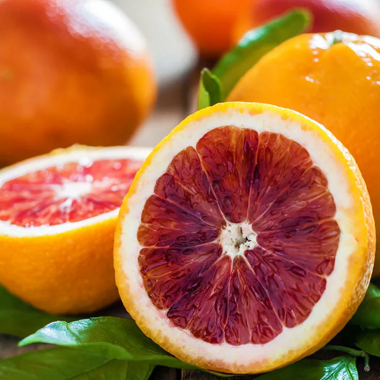 Blood Orange Soy Candle - Naturali Home