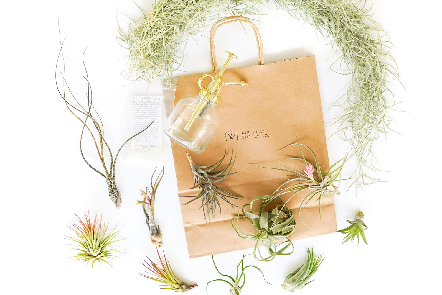 Air Plant Supply Co.
