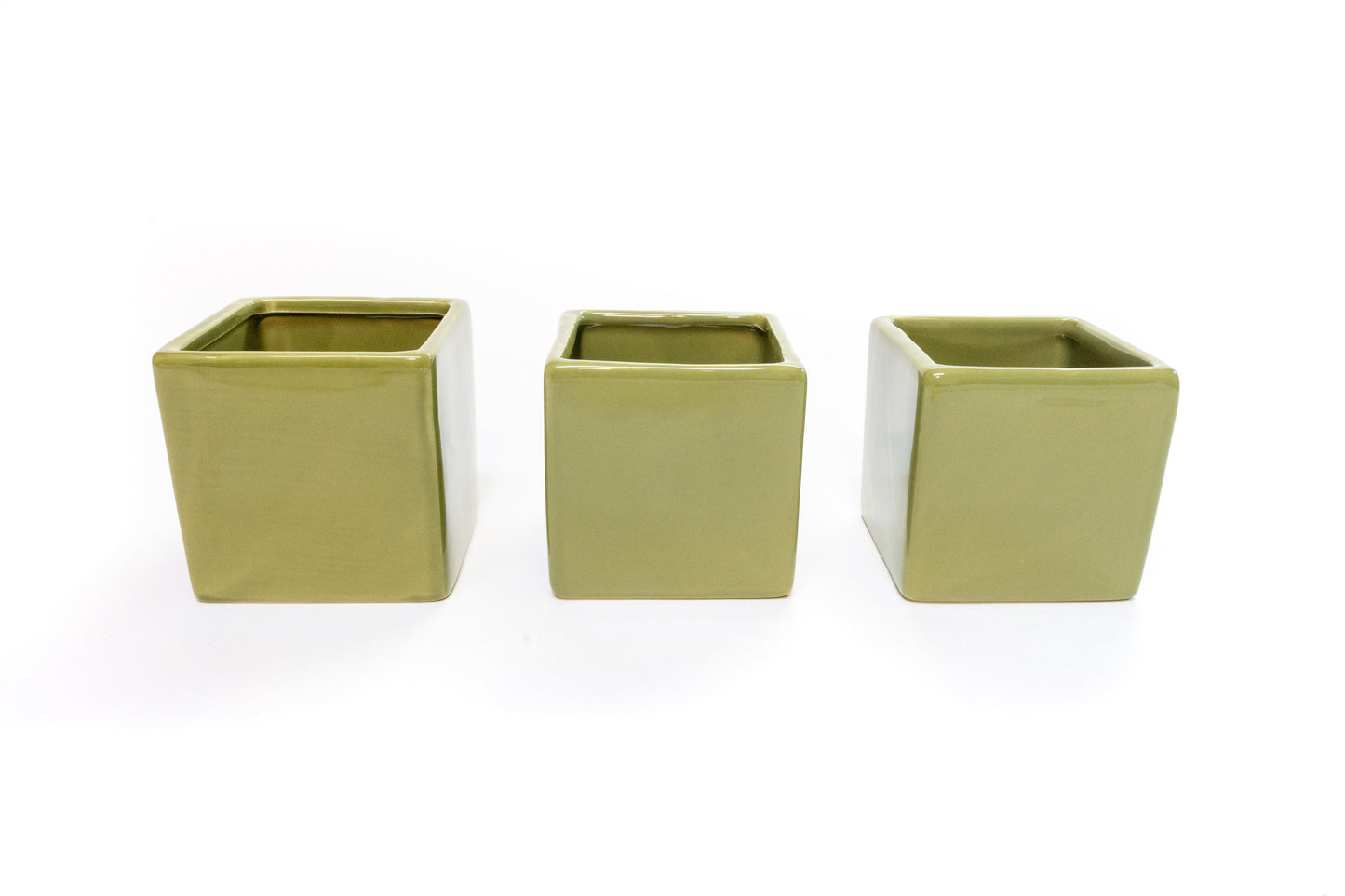 Avocado Green Ceramic Cube Container with Custom Tillandsia Air Plant