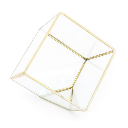 Heptahedron Geometric Glass Terrariums - Set of 2 - with Tillandsia Red Abdita, Ionantha and Small Xerographica