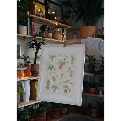 Plant Species Poster