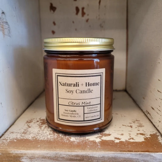Citrus Mint Soy Candle - Naturali Home